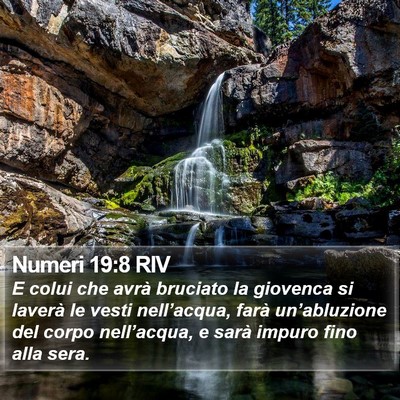 Numeri 19:8 RIV Bible Verse Image