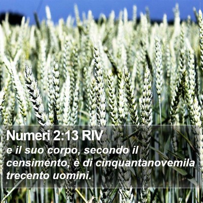 Numeri 2:13 RIV Bible Verse Image