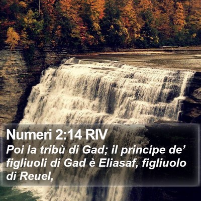 Numeri 2:14 RIV Bible Verse Image