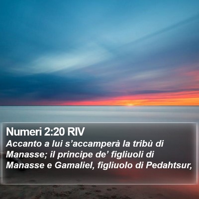 Numeri 2:20 RIV Bible Verse Image