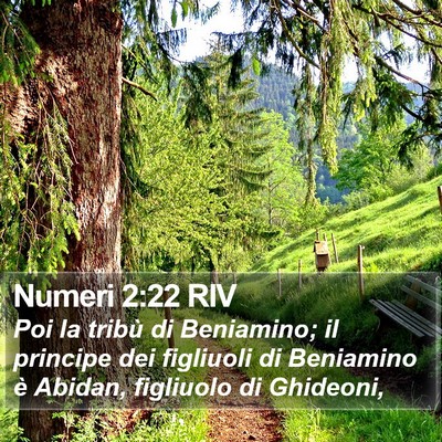 Numeri 2:22 RIV Bible Verse Image