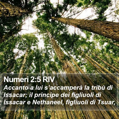 Numeri 2:5 RIV Bible Verse Image