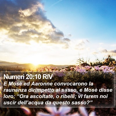 Numeri 20:10 RIV Bible Verse Image