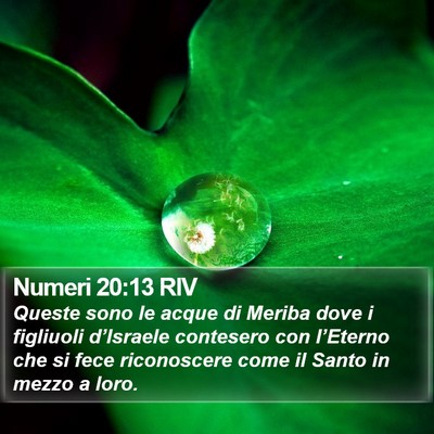 Numeri 20:13 RIV Bible Verse Image