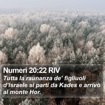 Numeri 20:22 RIV Bible Verse Image