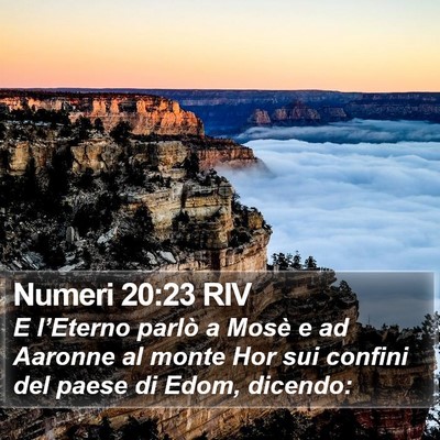 Numeri 20:23 RIV Bible Verse Image