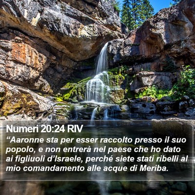 Numeri 20:24 RIV Bible Verse Image