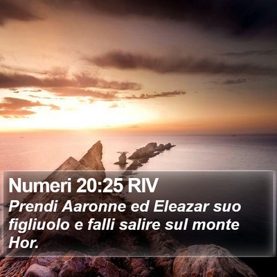 Numeri 20:25 RIV Bible Verse Image