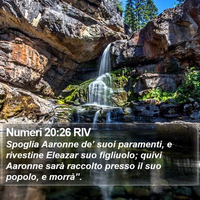 Numeri 20:26 RIV Bible Verse Image