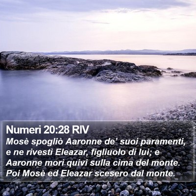 Numeri 20:28 RIV Bible Verse Image