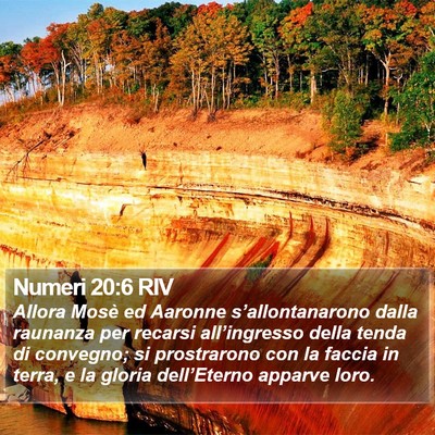 Numeri 20:6 RIV Bible Verse Image