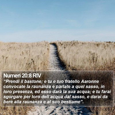 Numeri 20:8 RIV Bible Verse Image