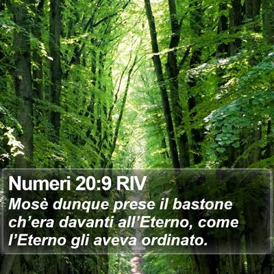 Numeri 20:9 RIV Bible Verse Image
