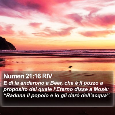 Numeri 21:16 RIV Bible Verse Image