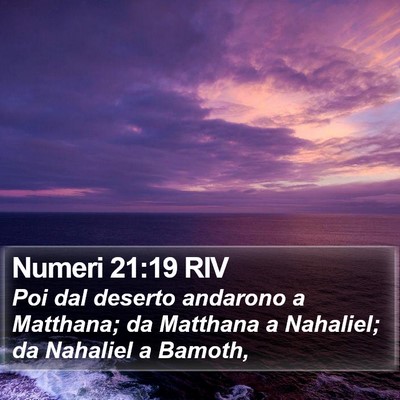 Numeri 21:19 RIV Bible Verse Image