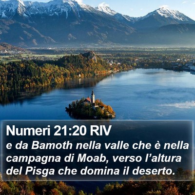 Numeri 21:20 RIV Bible Verse Image
