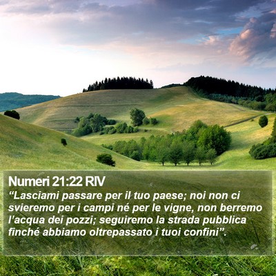 Numeri 21:22 RIV Bible Verse Image
