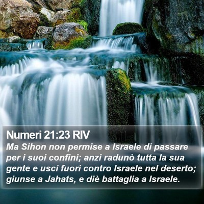 Numeri 21:23 RIV Bible Verse Image