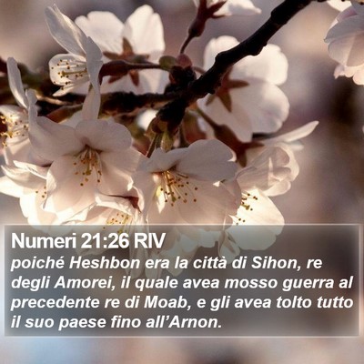 Numeri 21:26 RIV Bible Verse Image