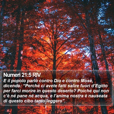 Numeri 21:5 RIV Bible Verse Image