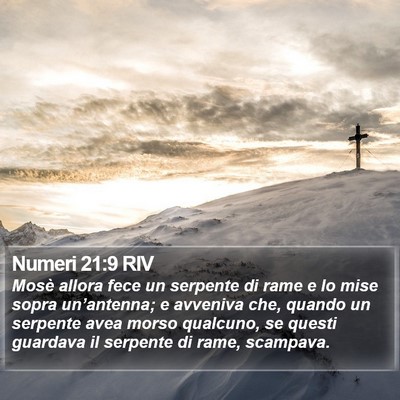 Numeri 21:9 RIV Bible Verse Image