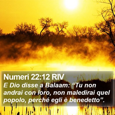 Numeri 22:12 RIV Bible Verse Image