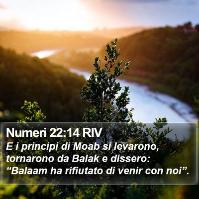 Numeri 22:14 RIV Bible Verse Image