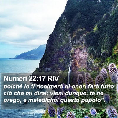 Numeri 22:17 RIV Bible Verse Image