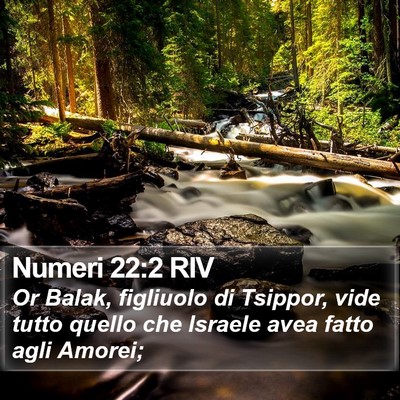 Numeri 22:2 RIV Bible Verse Image