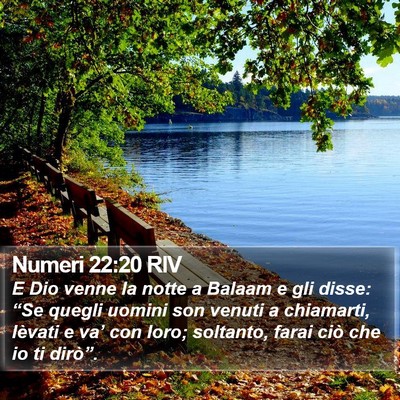 Numeri 22:20 RIV Bible Verse Image