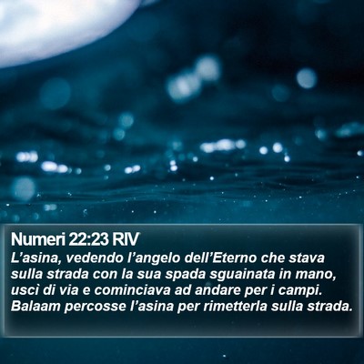 Numeri 22:23 RIV Bible Verse Image