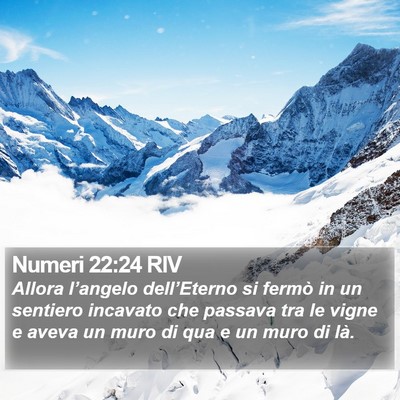 Numeri 22:24 RIV Bible Verse Image