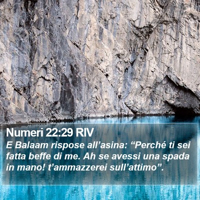 Numeri 22:29 RIV Bible Verse Image