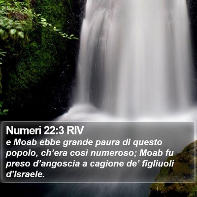 Numeri 22:3 RIV Bible Verse Image