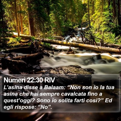 Numeri 22:30 RIV Bible Verse Image