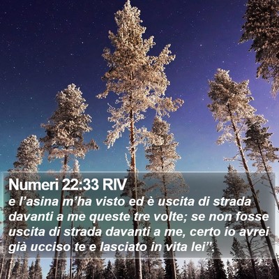 Numeri 22:33 RIV Bible Verse Image