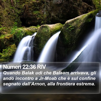 Numeri 22:36 RIV Bible Verse Image