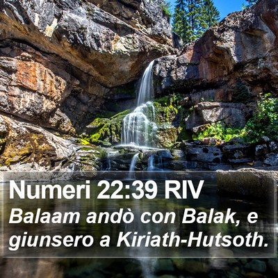 Numeri 22:39 RIV Bible Verse Image