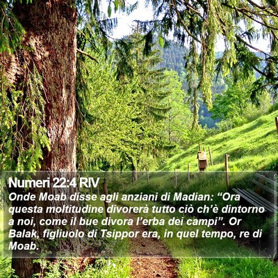 Numeri 22:4 RIV Bible Verse Image