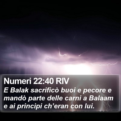 Numeri 22:40 RIV Bible Verse Image