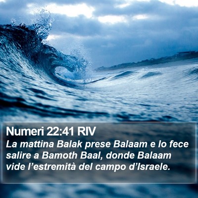 Numeri 22:41 RIV Bible Verse Image