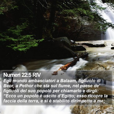 Numeri 22:5 RIV Bible Verse Image