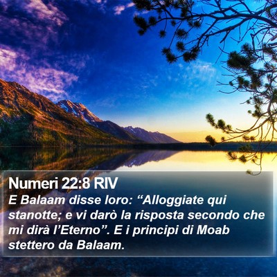 Numeri 22:8 RIV Bible Verse Image