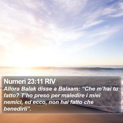 Numeri 23:11 RIV Bible Verse Image