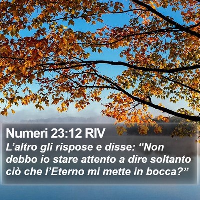Numeri 23:12 RIV Bible Verse Image
