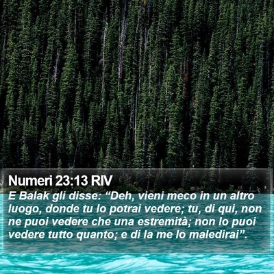 Numeri 23:13 RIV Bible Verse Image
