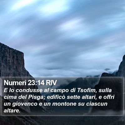 Numeri 23:14 RIV Bible Verse Image