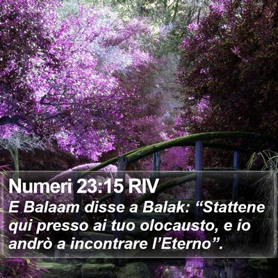Numeri 23:15 RIV Bible Verse Image