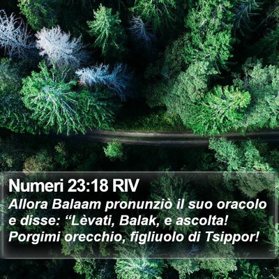 Numeri 23:18 RIV Bible Verse Image