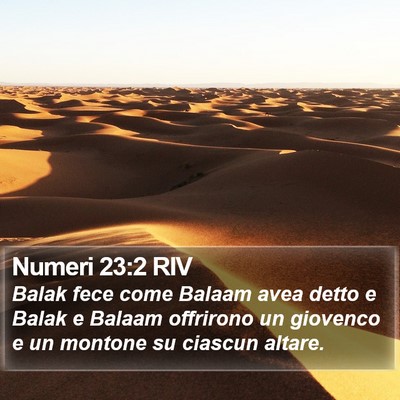 Numeri 23:2 RIV Bible Verse Image